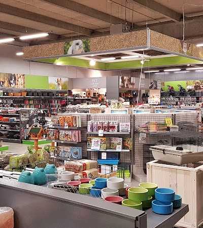 Van Tol Dier XL foto 3