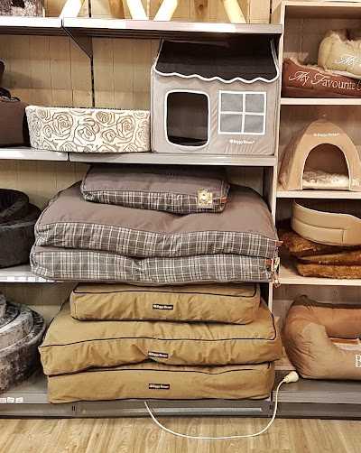 Van Tol Dier XL foto 4