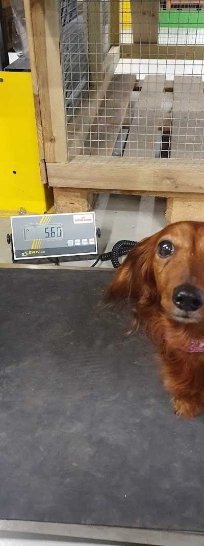 Van Tol Dier XL foto 5