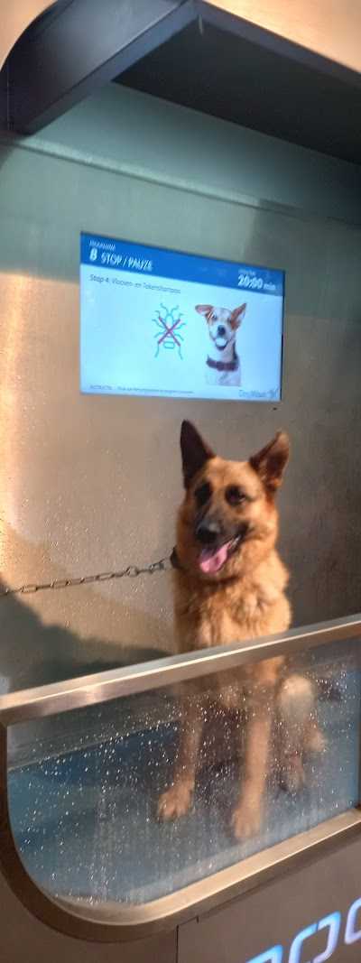 Talsma Pets en Co. foto 3