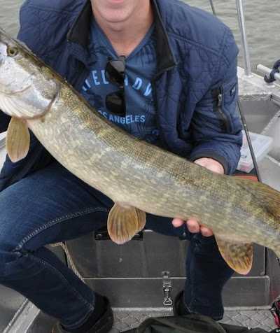 Snoekbaars Bootverhuur foto 2