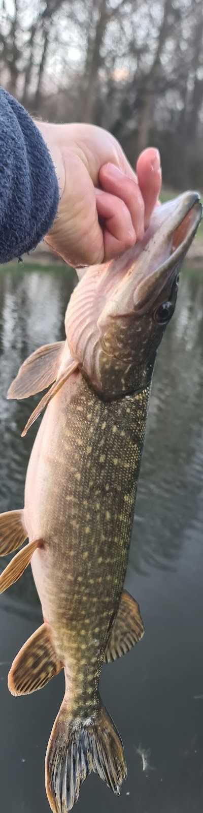 Hengelsport Willem foto 4