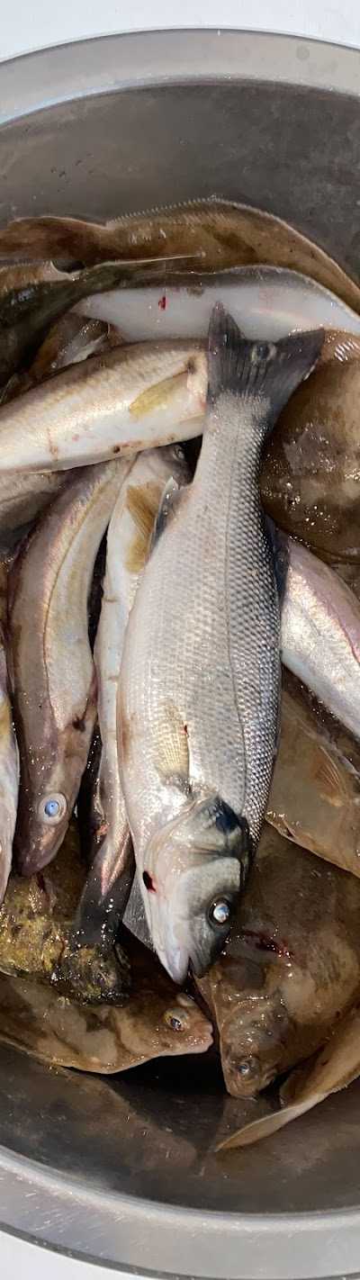 Bootvissenopzee foto 4