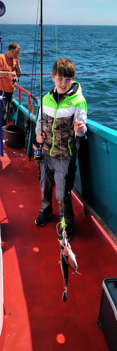 msfish-hunter foto 3