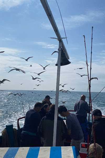 msfish-hunter foto 5