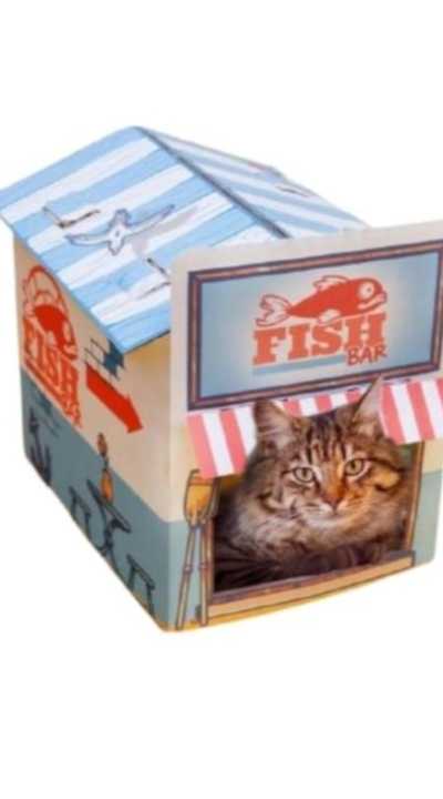 Cats and dogs wish foto 3