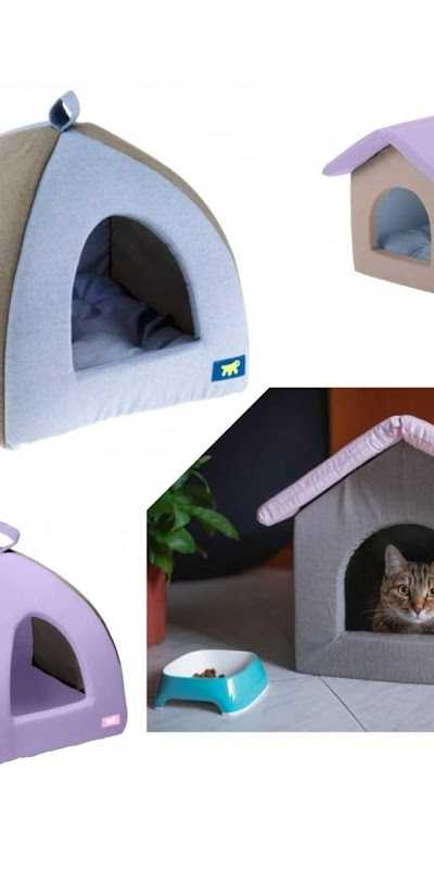 Cats and dogs wish foto 4