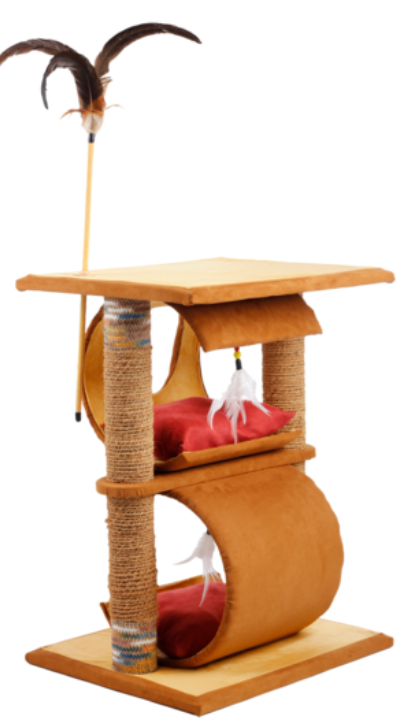 Cats and dogs wish foto 5